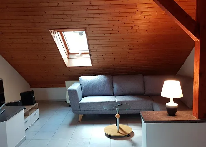 Schwarz Apartament *